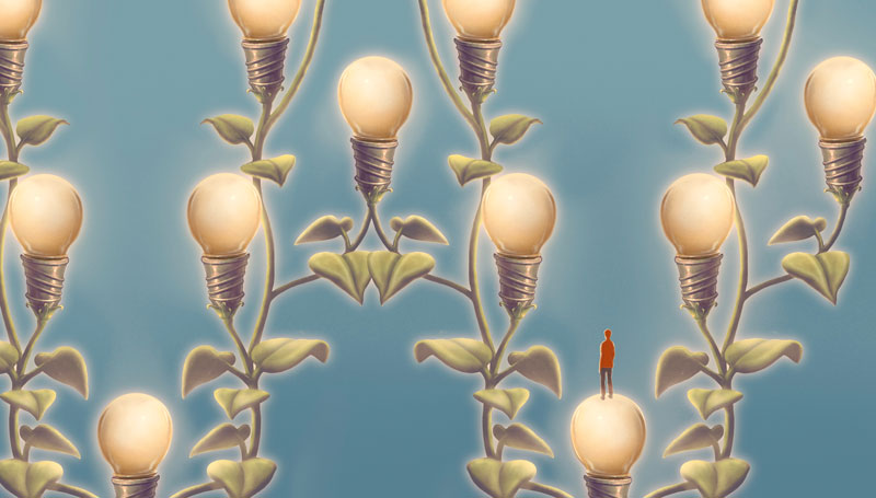illustration of a person looking at a vine sprouting light bulbs